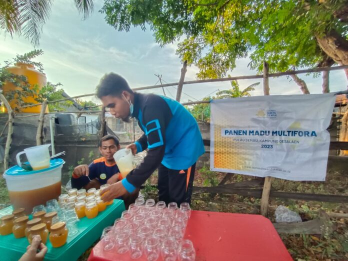 Panen Madu Multiflora Asli Pulau Semau, NTT berikan Keuntungan bagi Program Dakwah