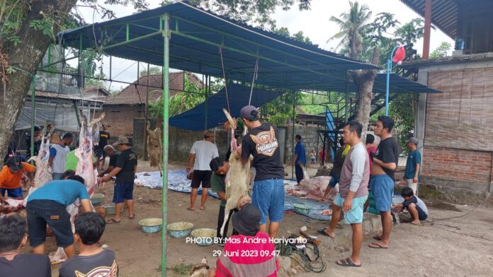 Padukuhan Pucanganom dan Jasmin Yogyakarta Gelar Penyembelihan Kurban