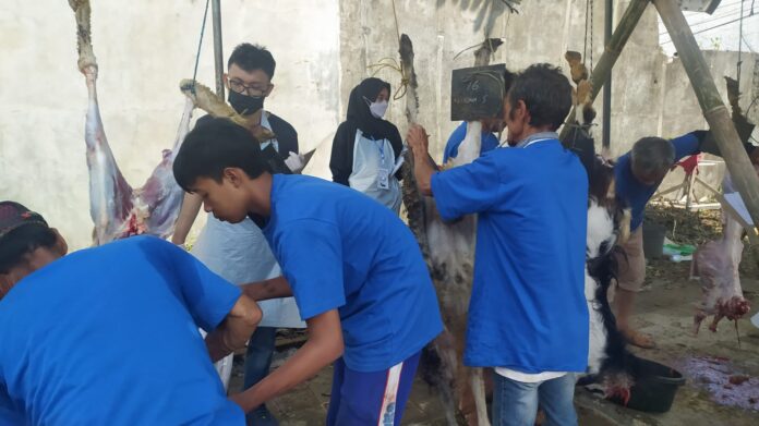 Distribusi Hewan Qurban Masjid Itishom Budi Agung Fokuskan ke Warga Sekitar