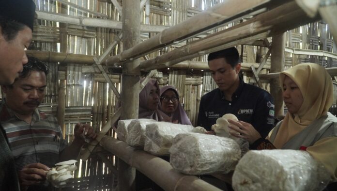 BMM Gelar Peresmian Program Pemberdayaan Ekonomi Jamur Tiram Masyarakat di Surabaya