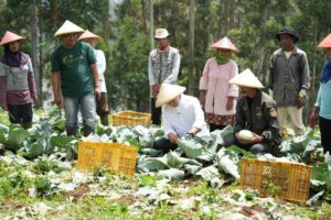 Penen Kol di Pengalengan, Capres Anies Akan Dorong Akses Pupuk Hingga Pemanfaatan Tanah Negara untuk Petani