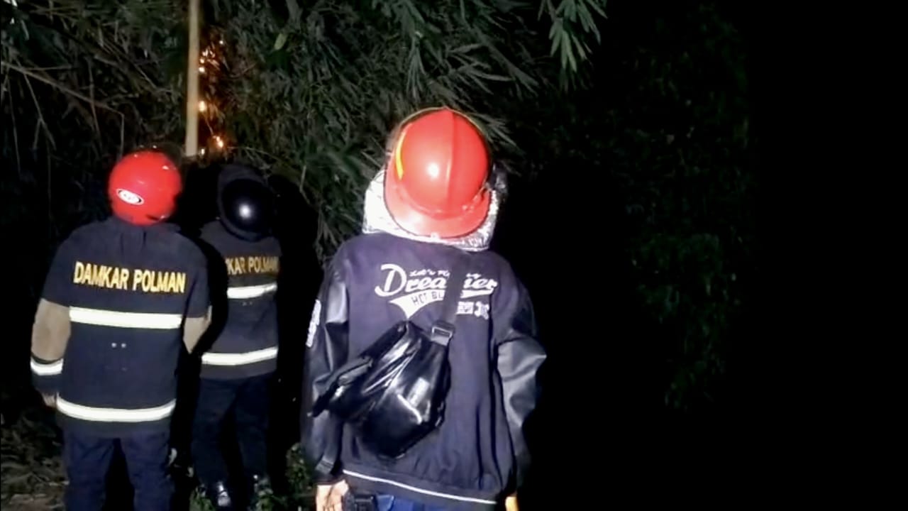 Dalam Semalam, Damkar Polman Tangani Tiga Evakuasi Sarang Tawon di Wonomulyo